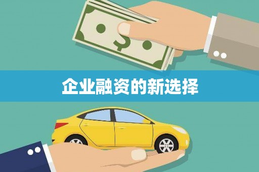 罗山企业融资的新选择