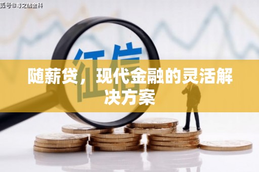 罗山随薪贷，现代金融的灵活解决方案