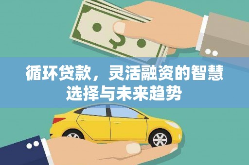 罗山循环贷款，灵活融资的智慧选择与未来趋势