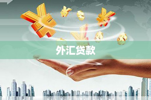 罗山外汇贷款