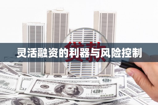 罗山灵活融资的利器与风险控制