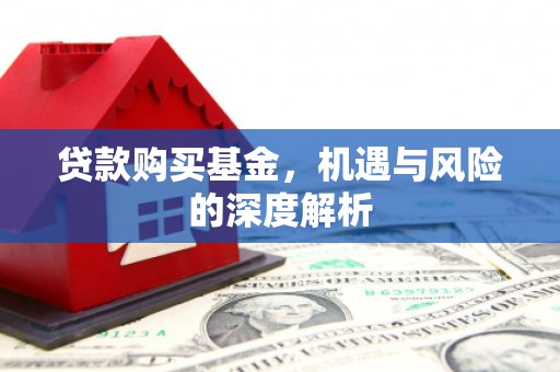 罗山贷款购买基金，机遇与风险的深度解析