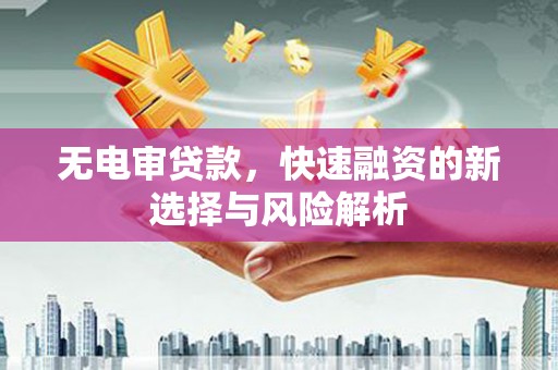 罗山无电审贷款，快速融资的新选择与风险解析