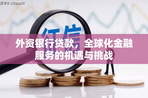 罗山外资银行贷款，全球化金融服务的机遇与挑战