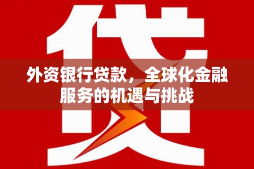罗山外资银行贷款，全球化金融服务的机遇与挑战