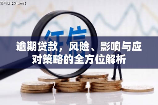 罗山逾期贷款，风险、影响与应对策略的全方位解析
