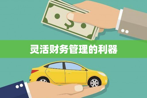 罗山灵活财务管理的利器