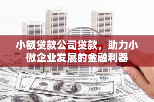 罗山小额贷款公司贷款，助力小微企业发展的金融利器