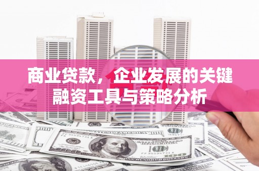 罗山商业贷款，企业发展的关键融资工具与策略分析