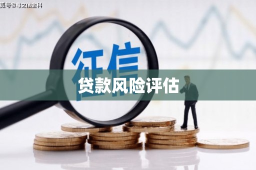 罗山贷款风险评估