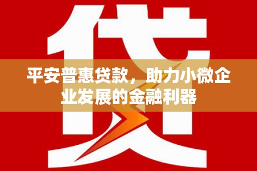罗山平安普惠贷款，助力小微企业发展的金融利器