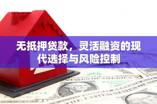 罗山无抵押贷款，灵活融资的现代选择与风险控制
