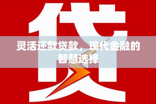 罗山灵活还款贷款，现代金融的智慧选择
