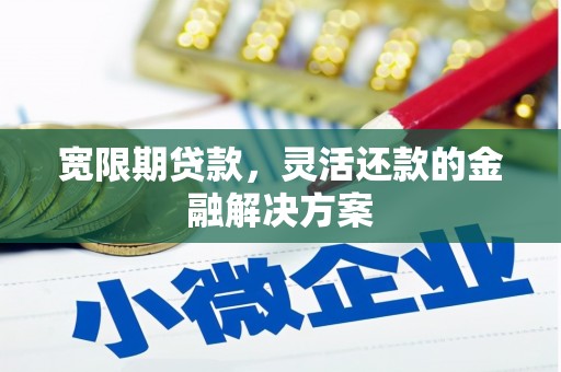 罗山宽限期贷款，灵活还款的金融解决方案