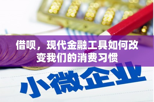 罗山借呗，现代金融工具如何改变我们的消费习惯