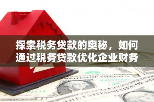 罗山探索税务贷款的奥秘，如何通过税务贷款优化企业财务