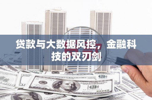 罗山贷款与大数据风控，金融科技的双刃剑