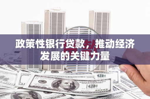 罗山政策性银行贷款，推动经济发展的关键力量