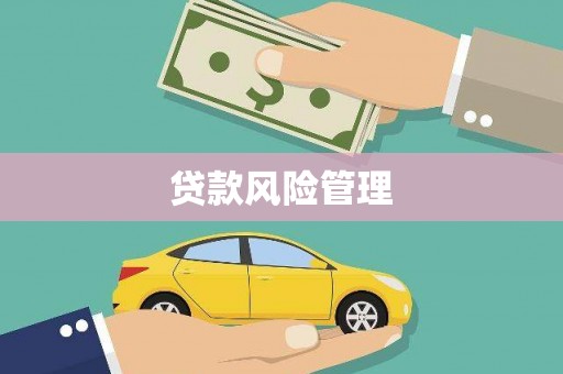 罗山贷款风险管理