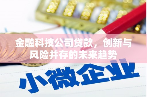 罗山金融科技公司贷款，创新与风险并存的未来趋势