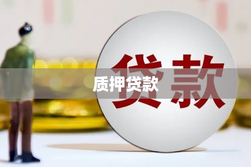 罗山质押贷款