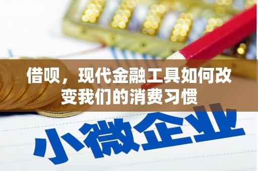 罗山借呗，现代金融工具如何改变我们的消费习惯