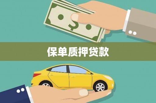 罗山保单质押贷款