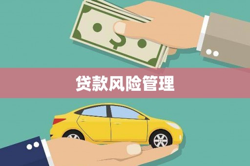 罗山贷款风险管理