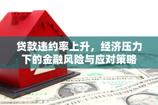 罗山贷款违约率上升，经济压力下的金融风险与应对策略