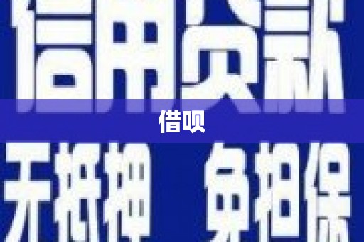 罗山借呗