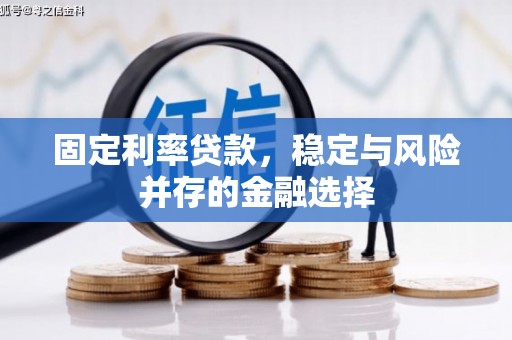 罗山固定利率贷款，稳定与风险并存的金融选择