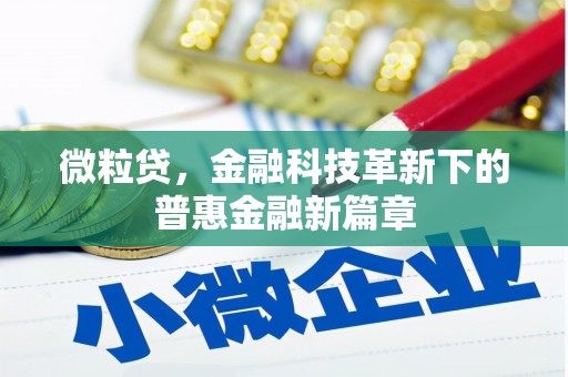 罗山微粒贷，金融科技革新下的普惠金融新篇章