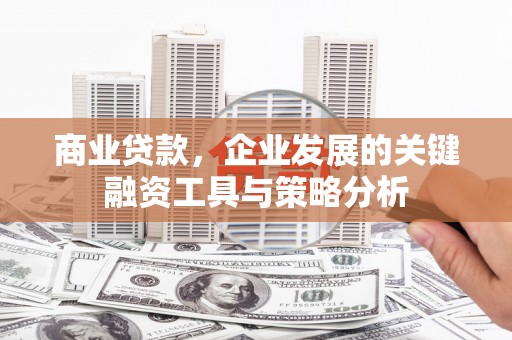 罗山商业贷款，企业发展的关键融资工具与策略分析