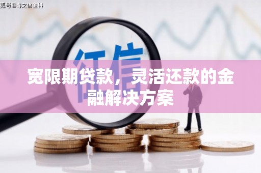 罗山宽限期贷款，灵活还款的金融解决方案