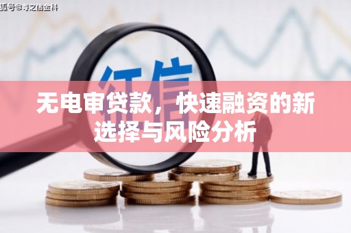 罗山无电审贷款，快速融资的新选择与风险分析