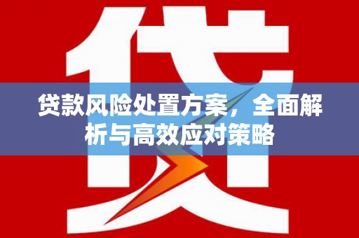 罗山贷款风险处置方案，全面解析与高效应对策略