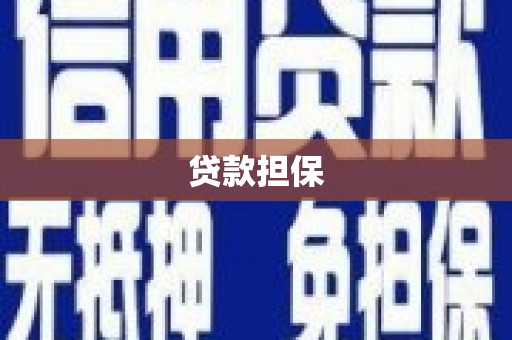 罗山贷款担保