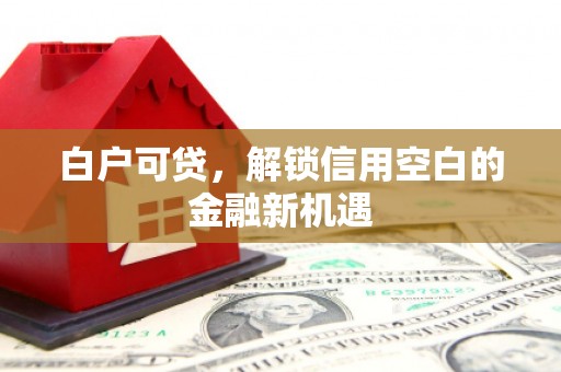 罗山白户可贷，解锁信用空白的金融新机遇