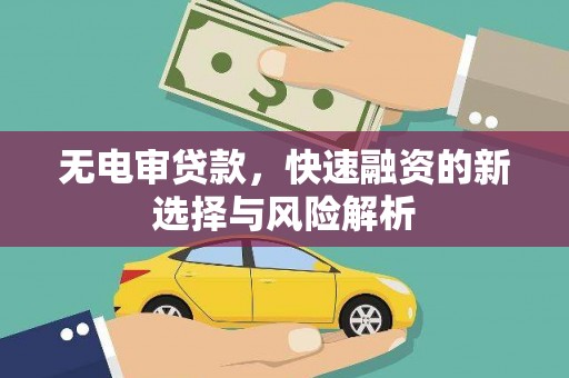 罗山无电审贷款，快速融资的新选择与风险解析