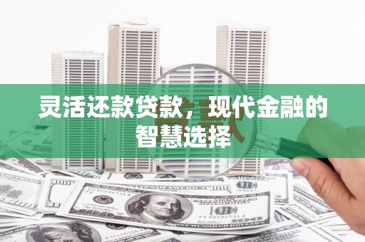 罗山灵活还款贷款，现代金融的智慧选择