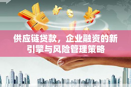 罗山供应链贷款，企业融资的新引擎与风险管理策略