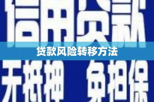 罗山贷款风险转移方法