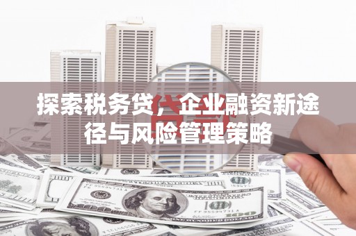 罗山探索税务贷，企业融资新途径与风险管理策略