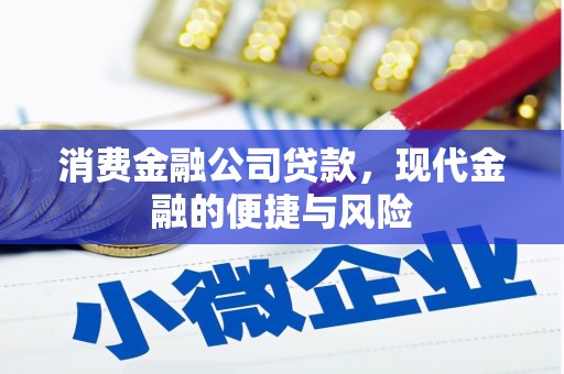 罗山消费金融公司贷款，现代金融的便捷与风险
