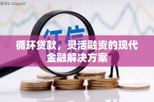 罗山循环贷款，灵活融资的现代金融解决方案