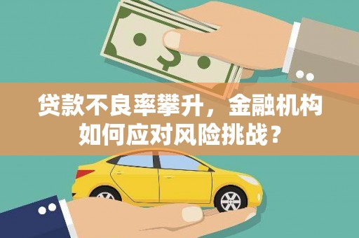 罗山贷款不良率攀升，金融机构如何应对风险挑战？
