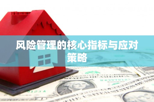 罗山风险管理的核心指标与应对策略