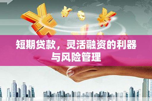 罗山短期贷款，灵活融资的利器与风险管理
