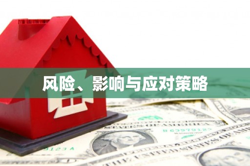 罗山风险、影响与应对策略