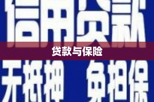罗山贷款与保险